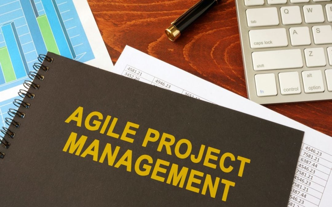 Project Agility and Managing Your Client